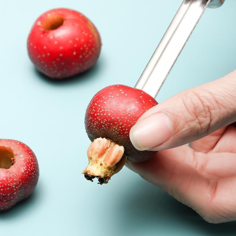 Kitchen Gadgets In China - Herramienta Deshuesadora de Frutos Secos y